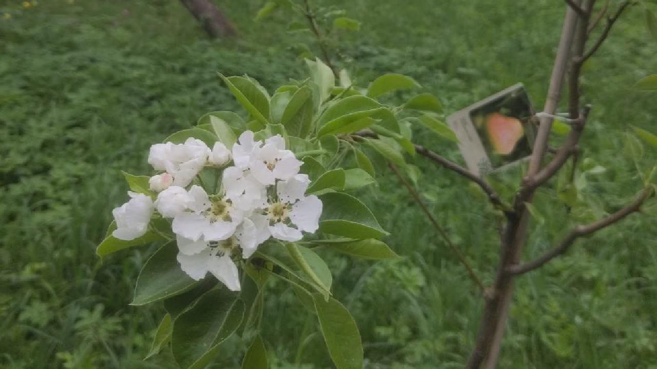 0001-01-01 00:00:00 +0000 UTC